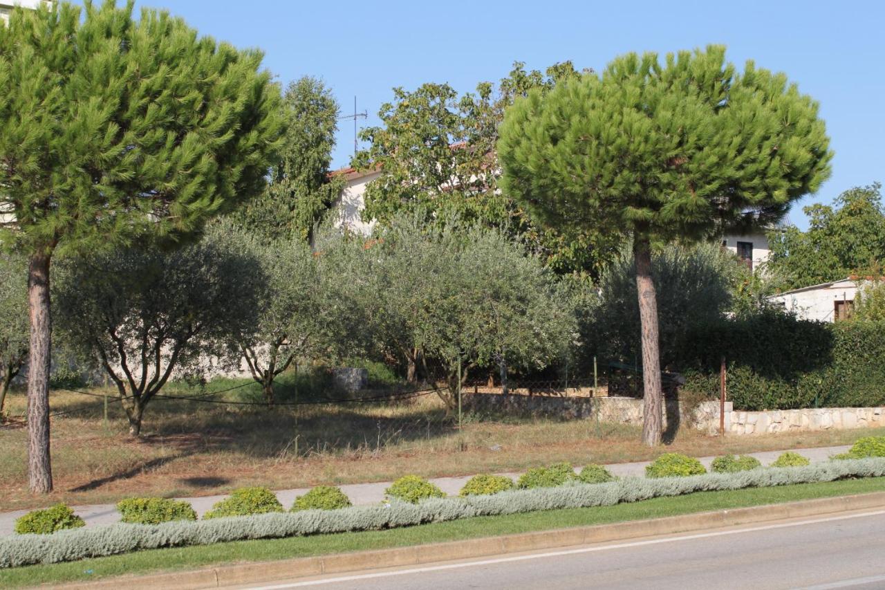 Apartments And Rooms With Parking Space Rovinj - 7170 Экстерьер фото